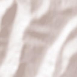 Petrilaca Terrain Map