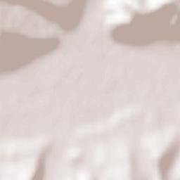 Viforoasa Terrain Map