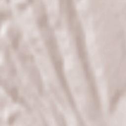 Horgeşti Terrain Map