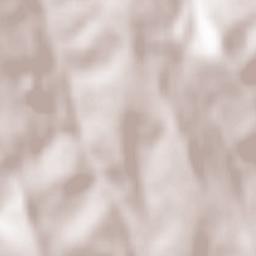 Răchitoasa Terrain Map