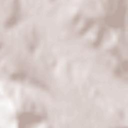 Puieşti Terrain Map