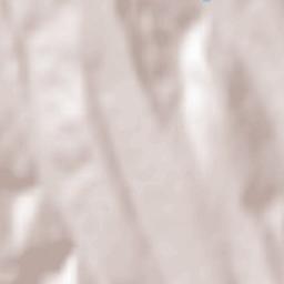 Alexandru Vlăhuţă Terrain Map