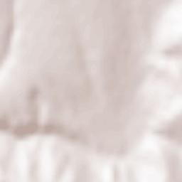 Roşieşti Terrain Map