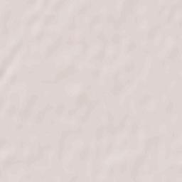 Brylivka Terrain Map