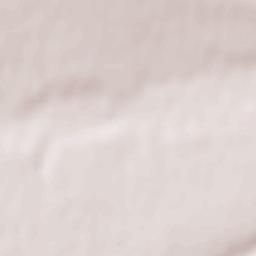 Troitskoye Terrain Map