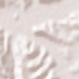 Shebunino Terrain Map