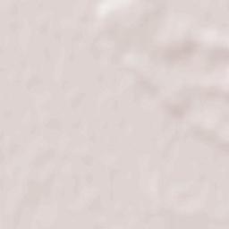 Chaillé-les-Marais Terrain Map