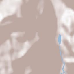 Campodolcino Terrain Map