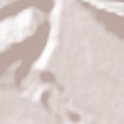 Žirovnica Terrain Map