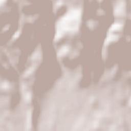 Oplotnica Terrain Map