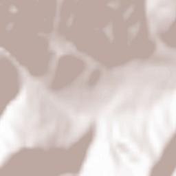 Comuna Sălciua Terrain Map