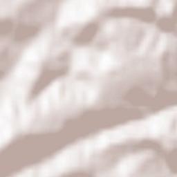 Berzunţi Terrain Map