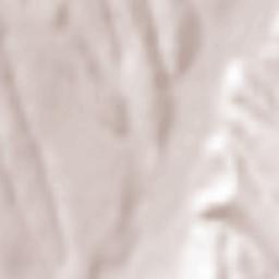 Comuna Horgeşti Terrain Map