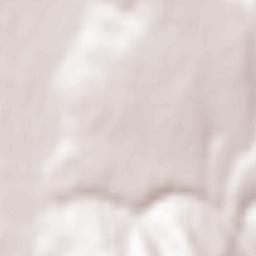 Comuna Viişoara Terrain Map