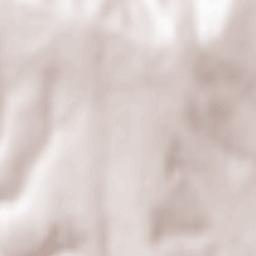 Viişoara Terrain Map