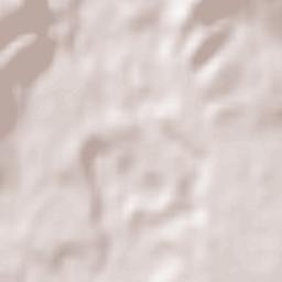 Mandeville Terrain Map