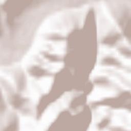 Comuna Lupşa Terrain Map