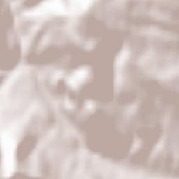 Livezile Terrain Map