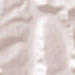 Laslău Mic Terrain Map