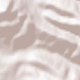 Leliceni Terrain Map