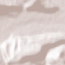 Oraş Dãrmãneşti Terrain Map