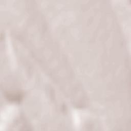 Comuna Dodeşti Terrain Map