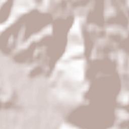 Šmartno ob Paki Terrain Map