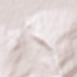 Gănești Terrain Map