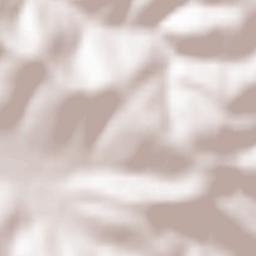 Misentea Terrain Map