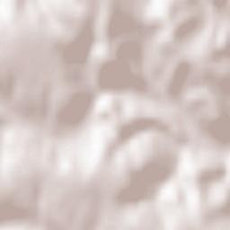 Bârsăneşti Terrain Map