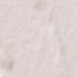 Basarabeasca Terrain Map