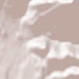 Preddvor Terrain Map