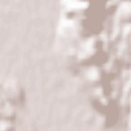 Braslovče Terrain Map