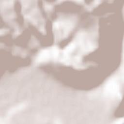 Pleşcuţa Terrain Map