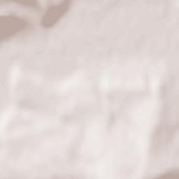 Adămuș Terrain Map