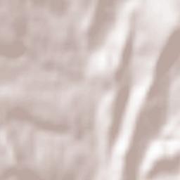 Dumbrava Terrain Map