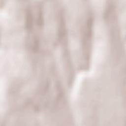 Comuna Corbasca Terrain Map