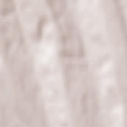 Comuna Coroieşti Terrain Map