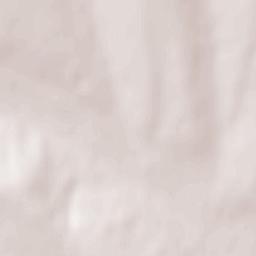 Borodino Terrain Map