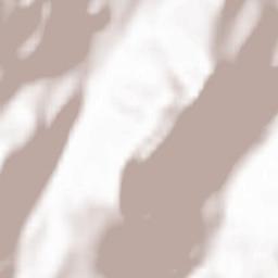 Bellevaux Terrain Map