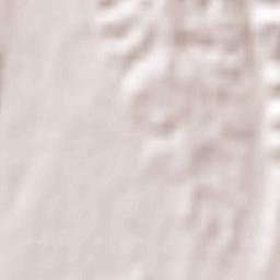 Trnovlje pri Celju Terrain Map