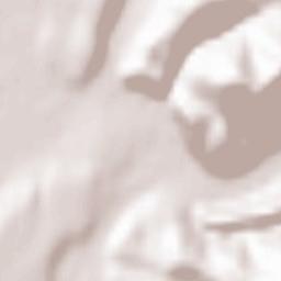 Gurahonţ Terrain Map