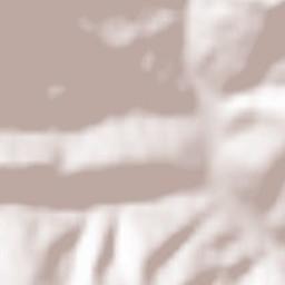 Poienile-Mogoş Terrain Map