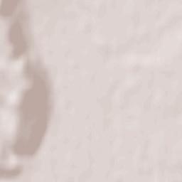 Rădeşti Terrain Map