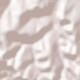 Viișoara Terrain Map