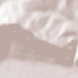 Comuna Mugeni Terrain Map