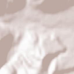 Oraş Târgu Ocna Terrain Map