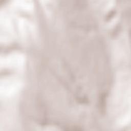 Corbasca Terrain Map