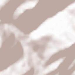 Saint-Jean-d’Aulps Terrain Map