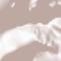 Provincia di Belluno Terrain Map